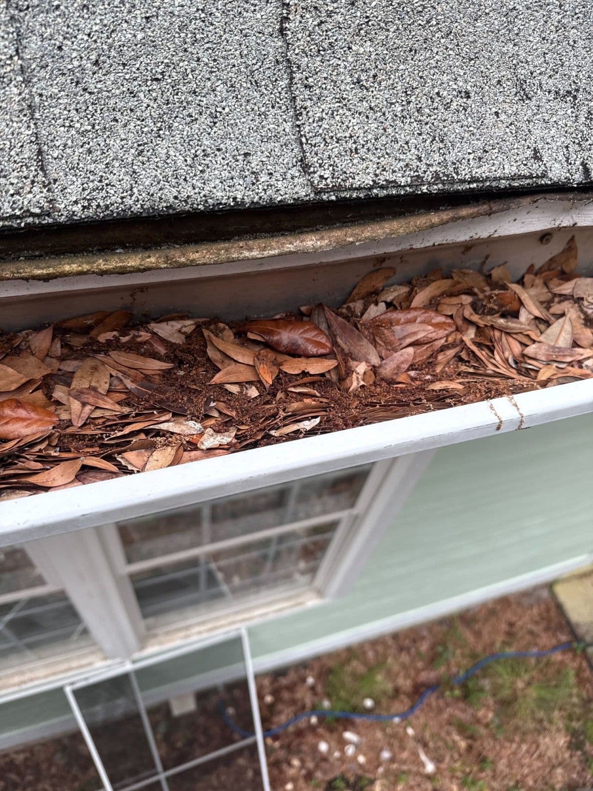Gutter cleaning